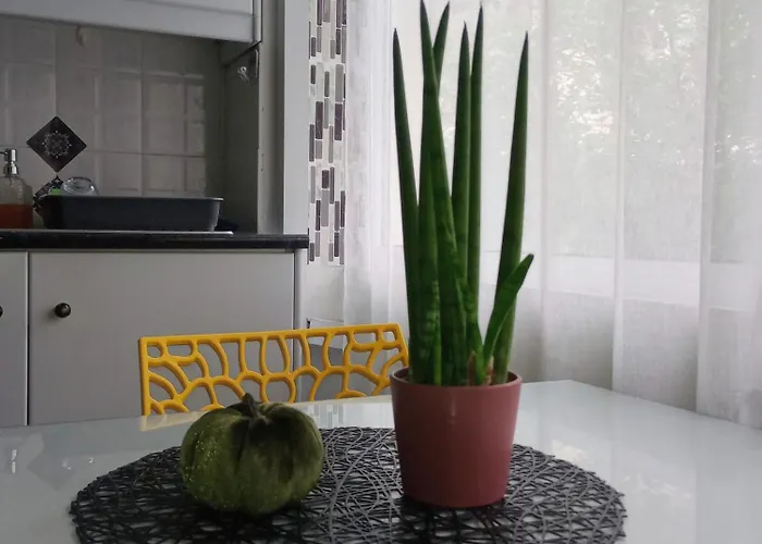 Violet * Ναύπλιο